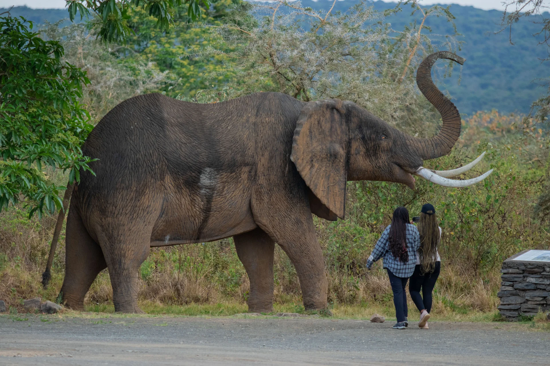 Welcome to Feel Tanzania Tours